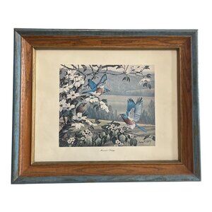 Vintage Gary R. Lucy Missouri’s Trilogy Framed Bird Print Rustic Wood Frame Wall